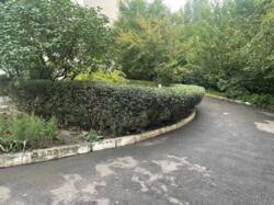 Продам 3х к. кв. Павловка, м. Научная, рядом Клочковская, 3й этаж фото 3 Продам 3х к. кв. Павловка, м. Научная, рядом Клочковская, 3й этаж фото 3