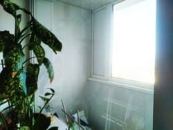 ������ 3-���������� �������� �� �������� ���� ����� � 23 ������� ���� 5