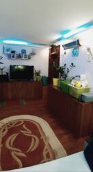 ��������� �������� �������� ��., 37, �������, �����������, ����� ���� ���� 4