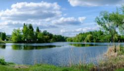 ������ 1�-��������� �������� � �� ��������� ���� 1