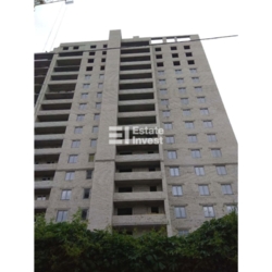 �������� 55 ��.�. � �� '��������' �� ����������� ��������-1. ���� 5