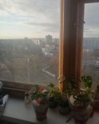 Продам 1 комнатную квартиру на Алексеевке. Класс. фото 2 Продам 1 комнатную квартиру на Алексеевке. Класс. фото 2