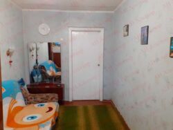 ��������� �������� ���������� ��., 43, �������, �����������, ����� ������� ���� 5