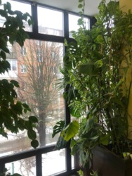 � ������� 2� �������� ������� ������� ���� � 15 ������� �� � 23 ������� ���� 3