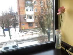 � ������� 2� �������� ������� ������� ���� � 15 ������� �� � 23 ������� ���� 8