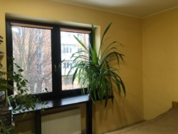 � ������� 2� �������� ������� ������� ���� � 15 ������� �� � 23 ������� ���� 20