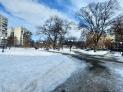 ������ 1 �������� � ��������� ���� 6