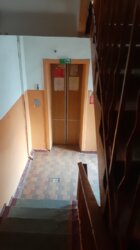 ������ 1�.�������� 17� ​������� �����������, ����������� ����� ���� 5