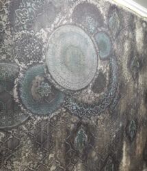 2-� ��������� �������� ����� ����� ��������. ������-����!!! ���� 2