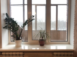 �������� � ����� �� ���� ���������! ����������! ���� 12