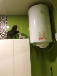 � ������� 2� �������� ������� ������� ���� � 15 ������� �� � 23 ������� ���� 15