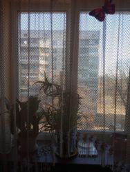 Продам квартиру 4 комнатную на баварии. фото 6 Продам квартиру 4 комнатную на баварии. фото 6