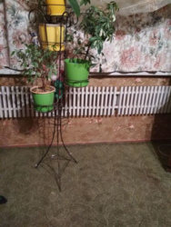 ������ 4-� �. ��. �� �������� ���� 9