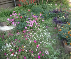 ��������� �������� ���������� ��., �������, �����������, ������� ���� ���� 5