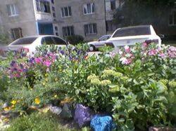 Продается квартира ул. Большая Кольцевая, 132, Харьков, Харьковская, Рогань фото 4 Продается квартира ул. Большая Кольцевая, 132, Харьков, Харьковская, Рогань фото 4