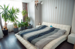 ������� �������� � �� '��� � ���������', ���� 8