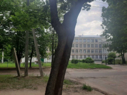 ������ 2 ��������� �������� �� �������� ���� ����� ��������� ��� �������� ���� 11