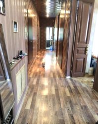 ������ 3-� ��������� �������� � ������ �������� ���� 5