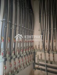 �����-�������� ������� ���������� ���� 13