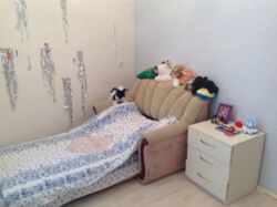 3 �. �� ����� ����������. �.������������ ����� ���� 3