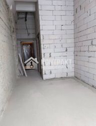 �����-�������� ������� ���������� ���� 6