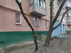 ��������, ���������, ���� 1