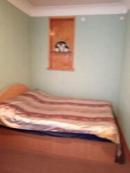 ������ 2���. �������� ����� ���. ���� ���� 6