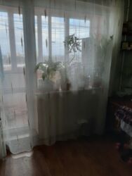 ������ 2 ������� � 3-� ��������� ������������ ��������. ���� 3