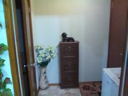 Уютная 2 х комнатная квартира 58м2 с Авторским ремонтом. Центр фото 6 Уютная 2 х комнатная квартира 58м2 с Авторским ремонтом. Центр фото 6