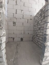 ������ 27�2 �� ����� ��� ����� ������� ���� 3