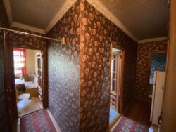 ������ 3-����.�������� �� ���������� ����� � ����� ������ ���� 5