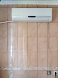 ������ 1�.��. ��. �����������, �������� �����, ��������, ����� ������������ ��� ���� 1