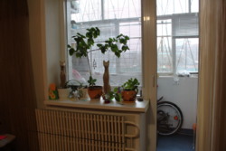 Продам 3к.кв Клочковская, метро 23 августа всего 12 минут фото 11 Продам 3к.кв Клочковская, метро 23 августа всего 12 минут фото 11