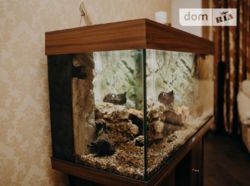 ��������� �������� ��������� ��., 12, �������, �����������, ����� ���� 4