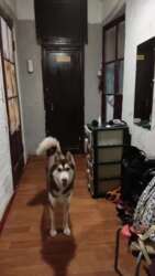 Квартира 2 комнаты 2х комнатная квартира. Защитников Украины фото 2 Квартира 2 комнаты 2х комнатная квартира. Защитников Украины фото 2