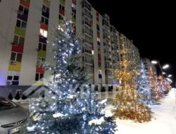 ������ �����-�������� ��������� ���� - 1 �� ����� ����� ���. ��� ���� 15