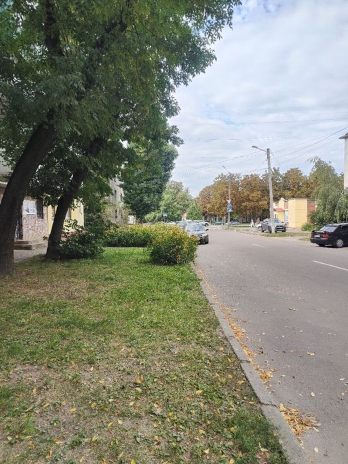 ��������� �������� ���������, �������������, ���������� ���� 1