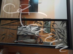   , , , - ., 35  4