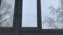 ��������� �������� ���������, �������������, ���������� ���� 12