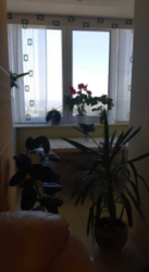   , , ,  ., 5  6