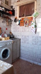 ��������� �������� ������� �����, ���������, �������������, ���������� ���� 11