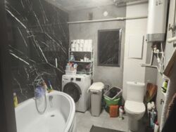 ��������� �������� ����� �����������, 7, ���������, �������������, ���������� ���� 10