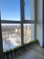 ��������� �������� ���������, �������������, ���������� ���� 8