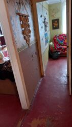 ������ ������������� �������� ���� 3