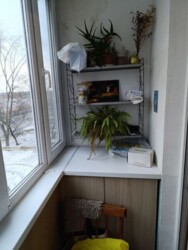 ��������� �������� ���������, �������������, ���������� ���� 8