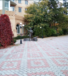 г       20