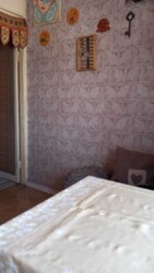 ��������� �������� ������� �����, ���������, �������������, ���������� ���� 19