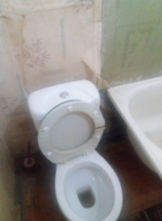   , , ,  ., 46  2