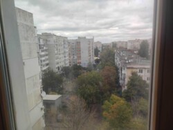 ��������� �������� 1905-��, 2, ���������, �������������, ���������� ���� 17