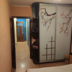 ��������� �������� ����������, �������������, ���������, �������, 8 ���� 13